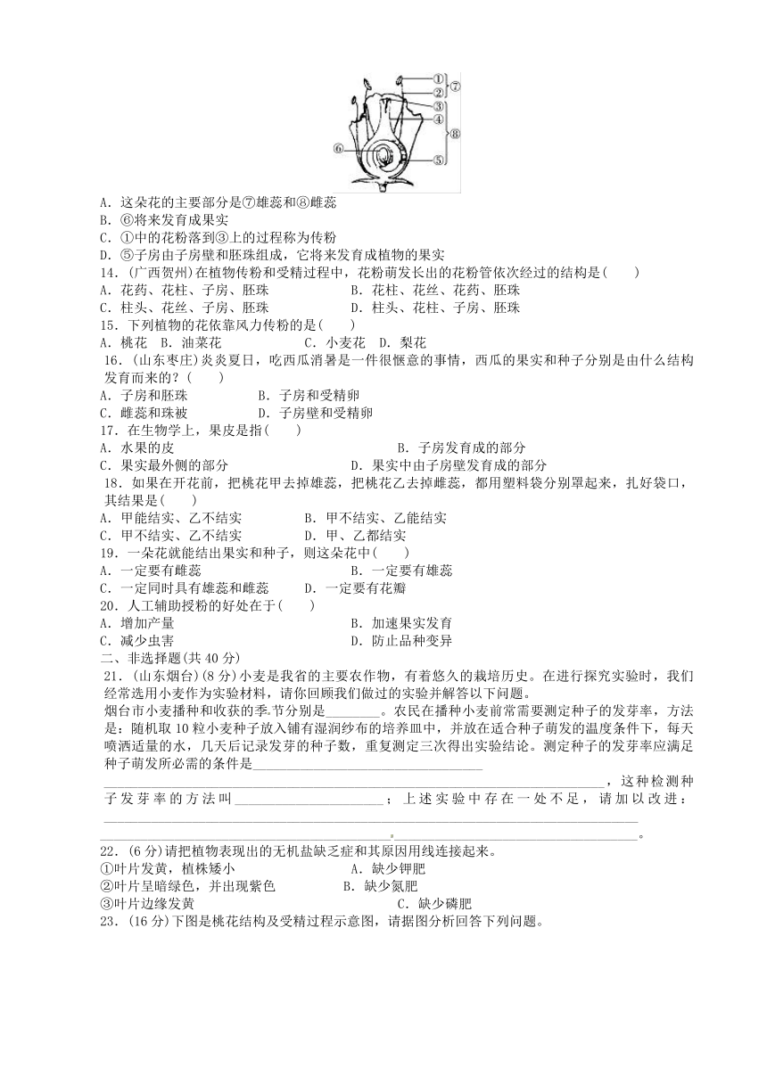 人教版七年级生物上册 3.2被子植物的一生单元测试（含解析）