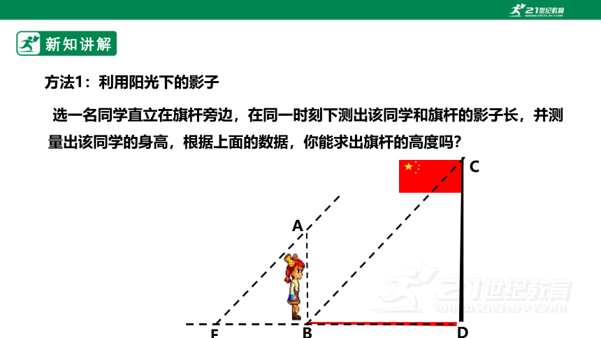 【新课标】4.6利用相似三角形测高 课件（25张PPT）