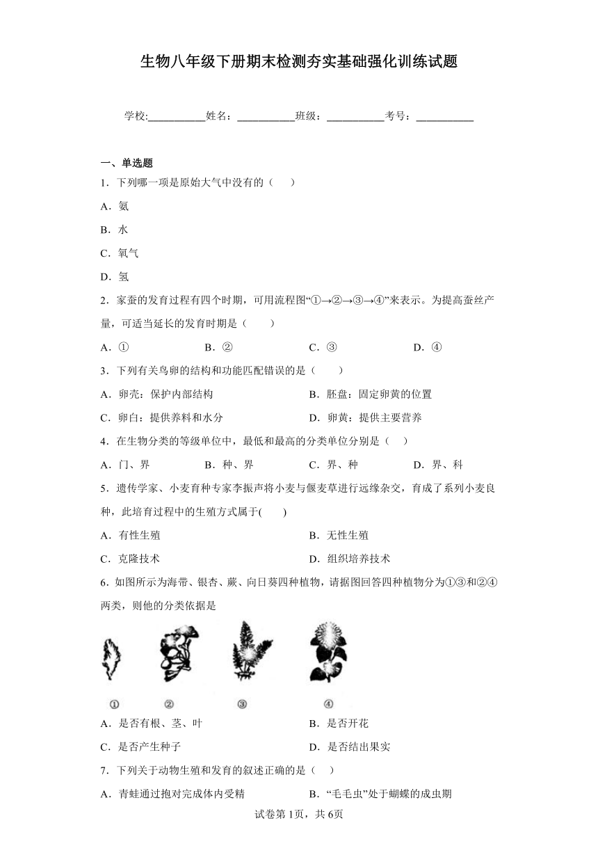 鲁教版生物八年级下册期末检测夯实基础强化训练试题1（含解析）