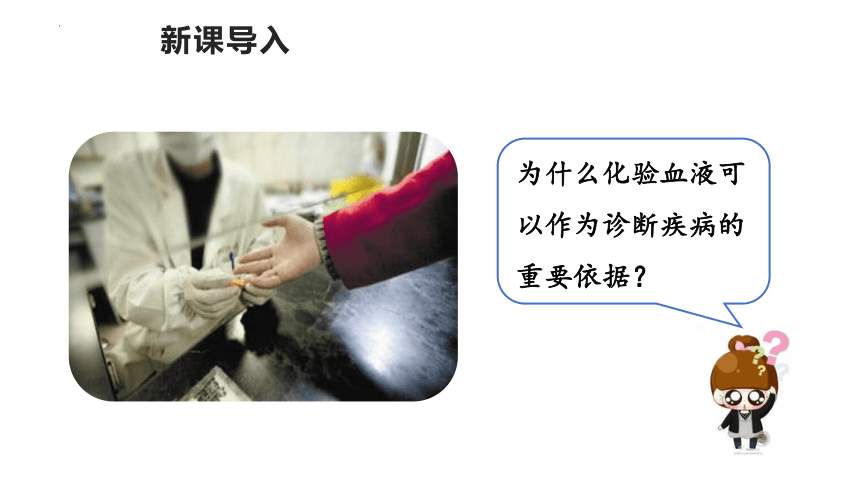 4.4.1流动的组织——血液课件 (共30张PPT)人教版生物七年级下册