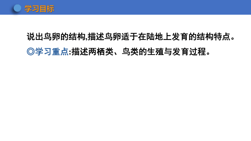 6.1.2 动物的生殖和发育 第2课时课件(共20张PPT)2023-2024学年初中生物冀少版八年级下册