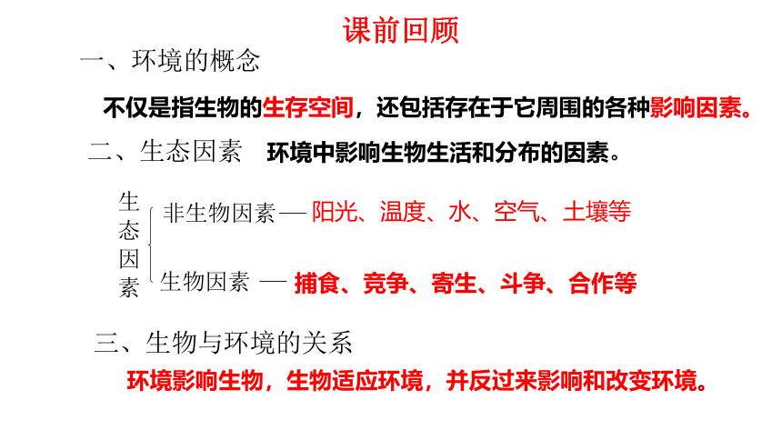 初中生物人教版七年级上册1.2.1生物与环境的关系（第二课时）课件(共20张PPT)