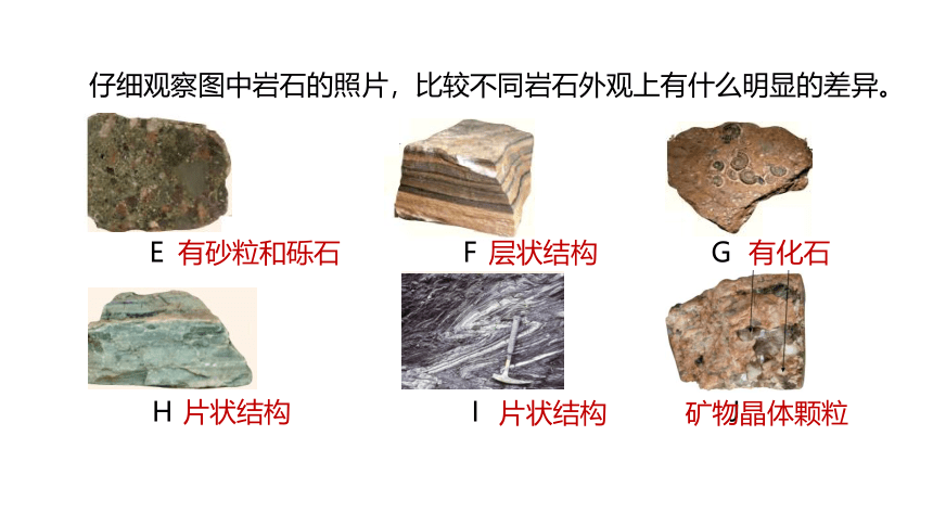 第3节 组成地壳的岩石（课件 23张ppt）