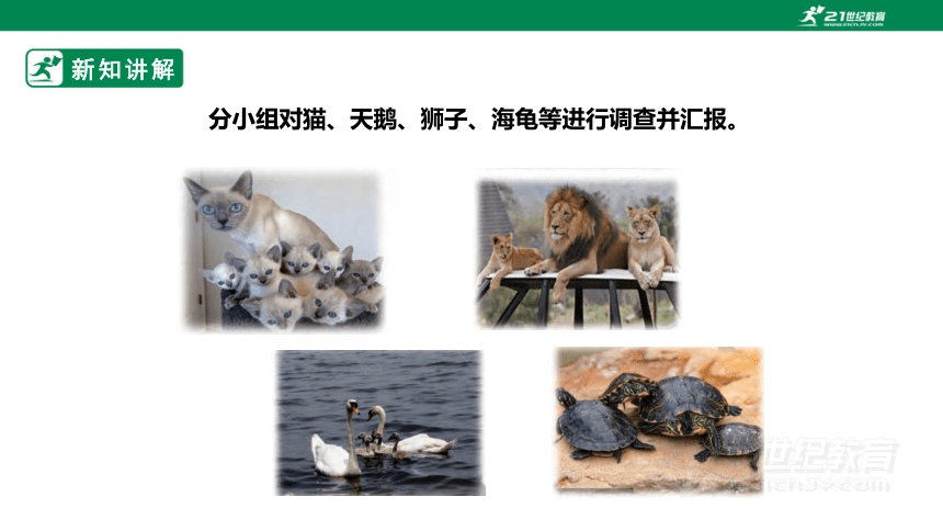 【新课标】4.2《动物的遗传和变异》课件（24张PPT）