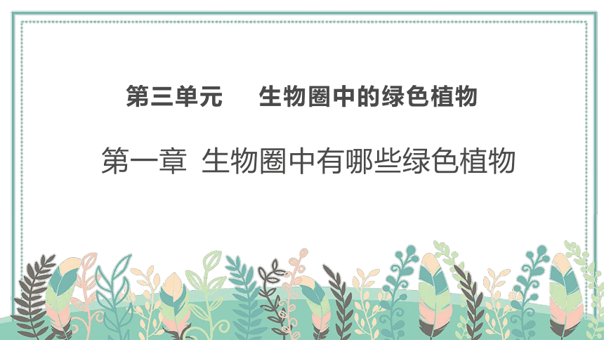 3.1.1藻类植物课件(共16张PPT)2022--2023学年鲁科版生物六年级下册