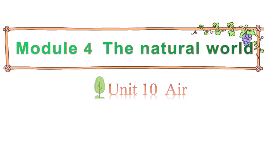 Module 4 Unit 10 Air  第2课时 课件（16张PPT）