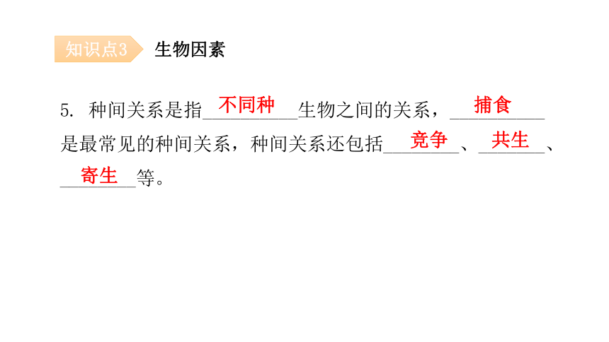 2020-2021学年八年级生物下册（北师大版）  23.1  生物的生存依赖一定的环境 课件（共28张PPT）