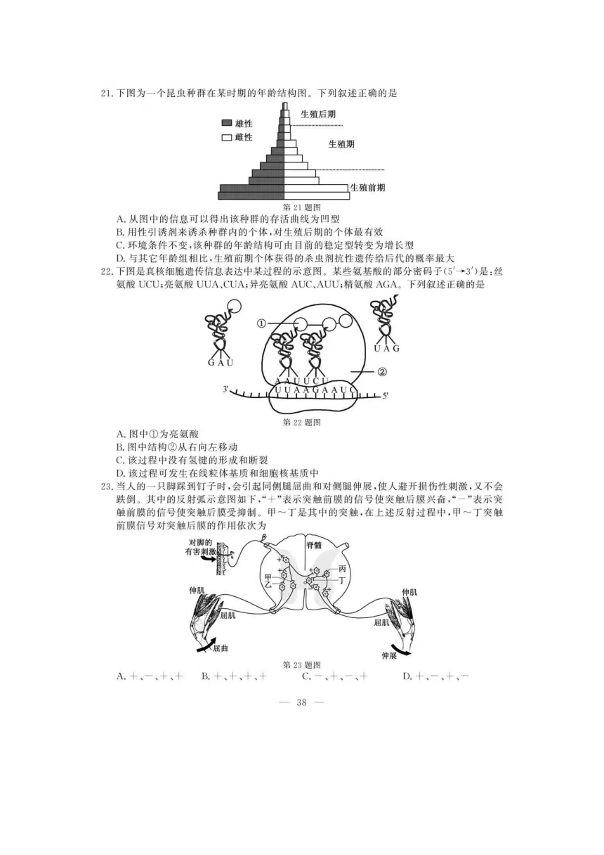 2021年1月浙江省普通高校招生选考生物试题（ 扫描版，含答案）