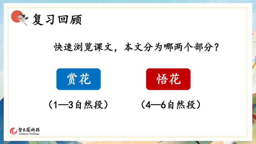 【课件PPT】小学语文六年级上册—课文02 丁香结（第2课时）