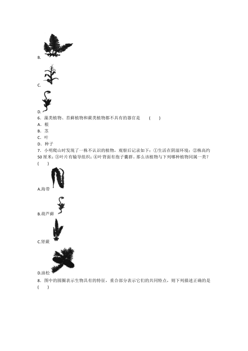 2019-2020学年人教版生物七年级上册第三单元第一章《生物圈中有哪些绿色植物》章节汇总练习题及答案