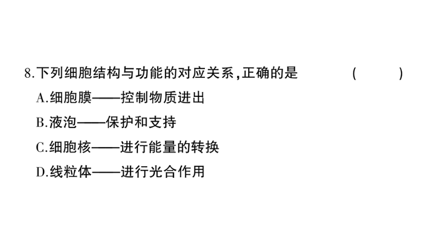 湖南吉首市第二初级中学2022-2023学年七年级生物上册期末综合检测卷课件（41张PPTt)
