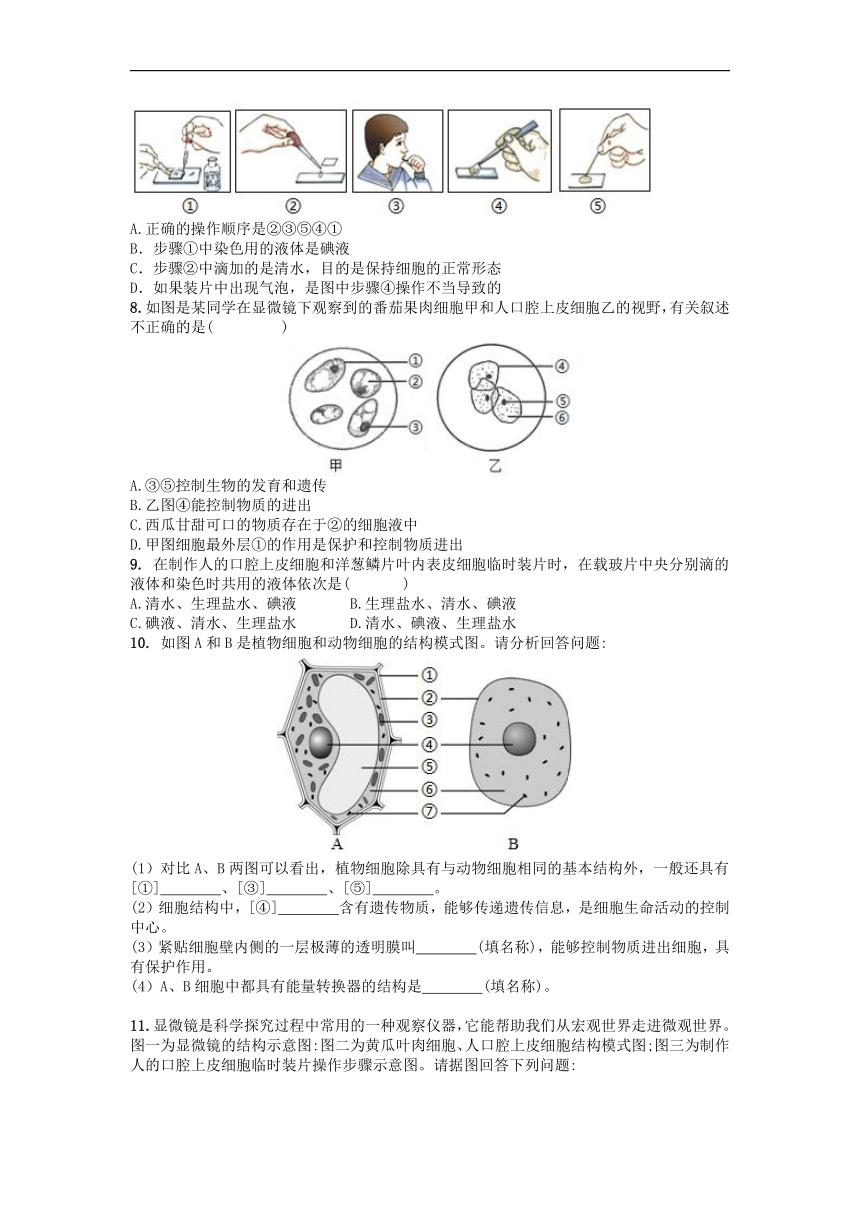 2022-2023学年人教版七年级生物上册 2.1.3动物细胞同步练习（word版 有答案）