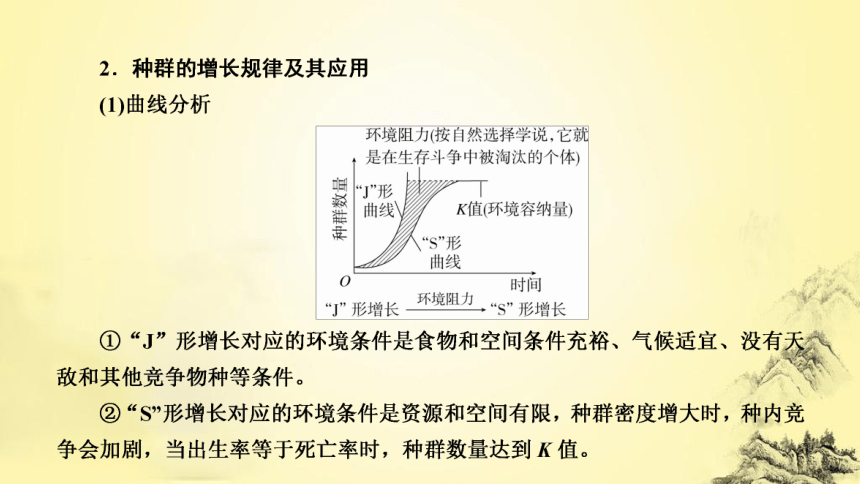 新人教生物二轮复习课件12 植物生命活动的调节(课件共45张PPT)