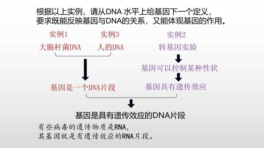 生物人教版（2019）必修2-3.4 基因通常是有遗传效应的DNA片段课件（35张PPT）