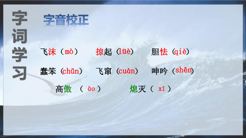 4.海燕 课件(共34张PPT)