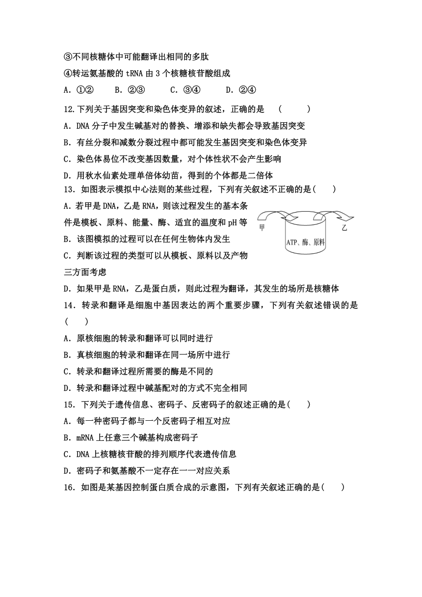 吉林省松原市乾安县七高2020-2021学年高一下学期6月第七次质量检测生物试卷     含答案