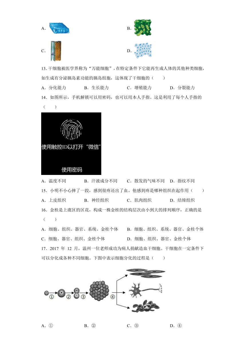 2.3 生物体的结构层次 同步练习（含解析）