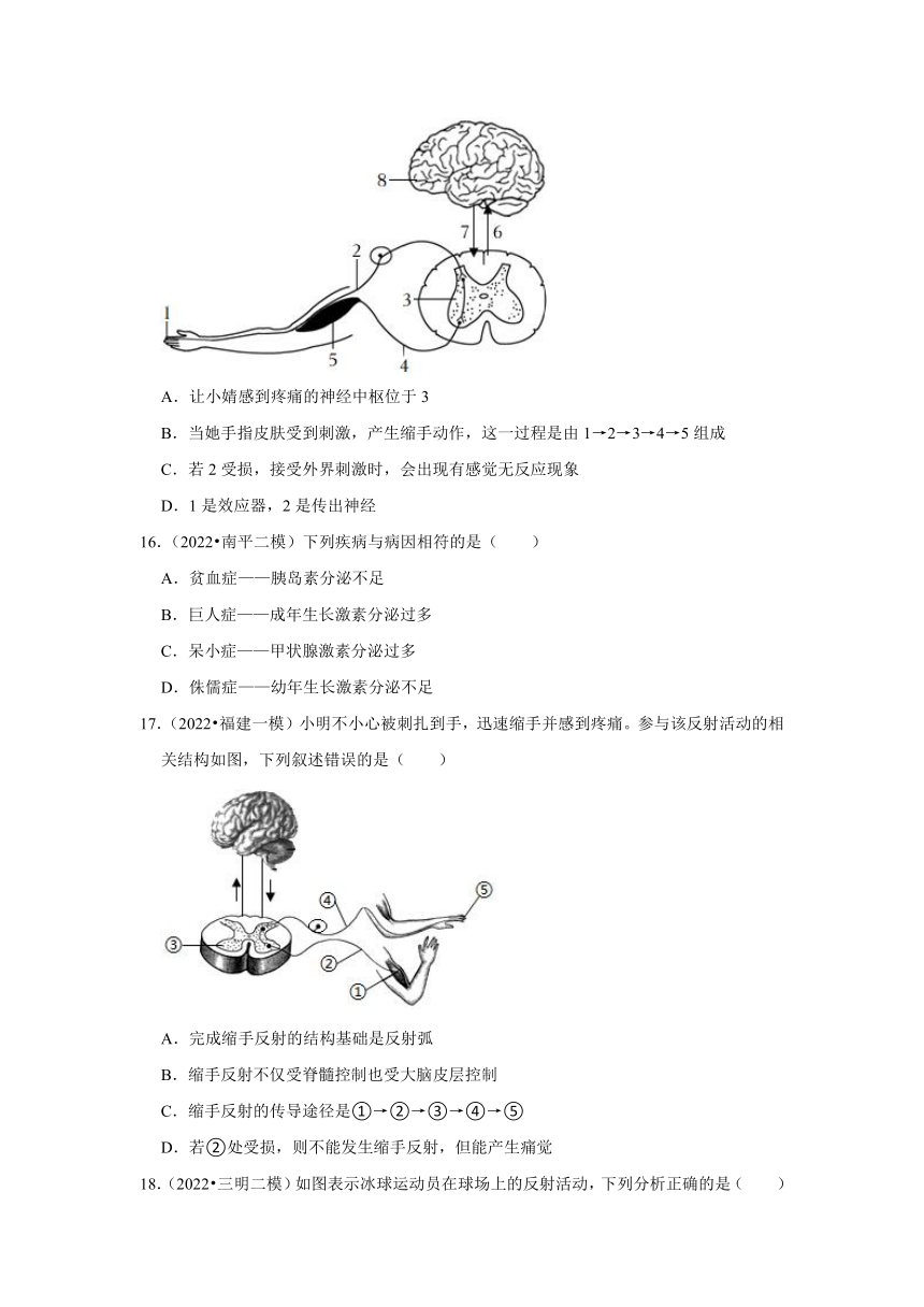 中考专题训练——6人体的神经与泌尿系统——2023年福建省中考生物（含解析）