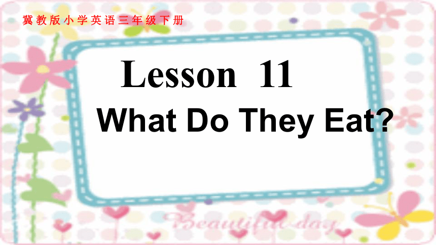 Unit2 Lesson11 What DoThey Eat? 课件（14张PPT，内嵌音频）