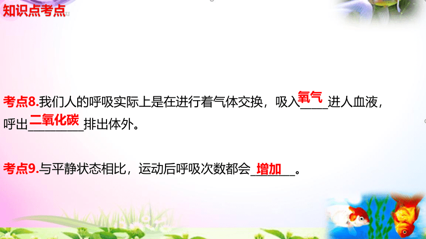 教科版科学四年级上册2.2呼吸与健康生活-知识点+实验+典型试题 课件（15张PPT）