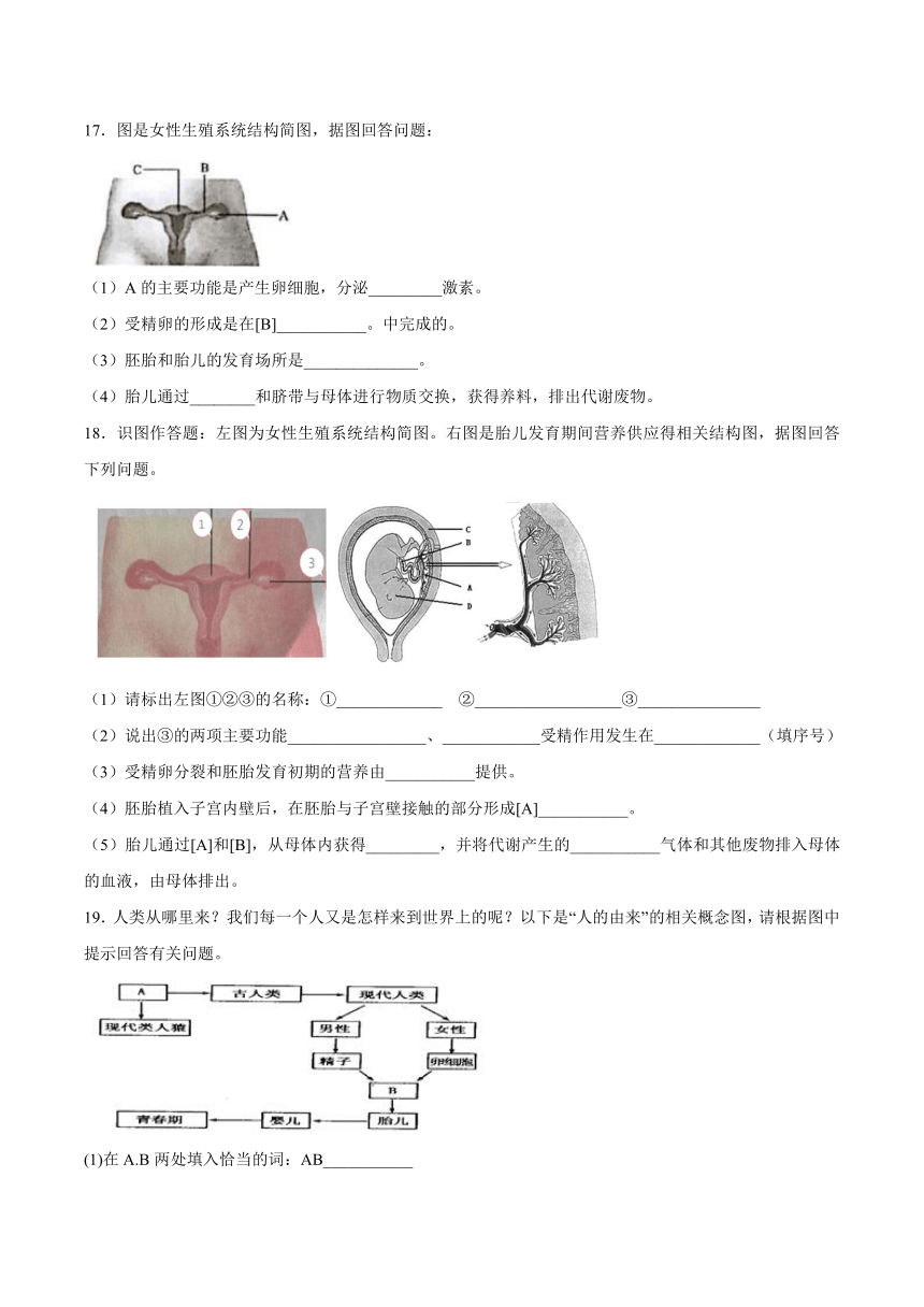 【会考专训】中考生物会考复习专项训练13：人的由来（含解析）