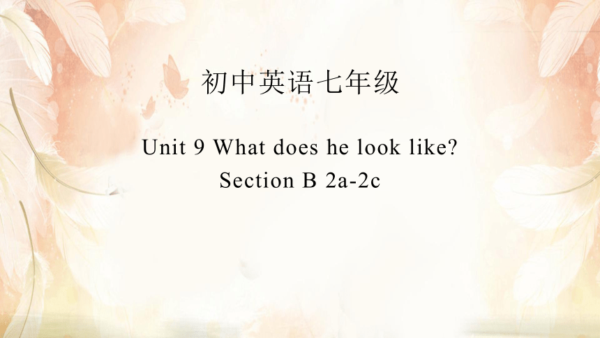 七年级下英语Unit 9 What does he look like? Section B阅读课课件24张