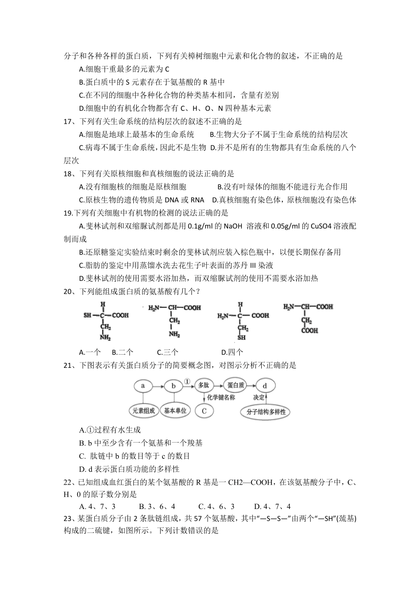 四川省遂宁市射洪重点中学校2021-2022学年高一上学期第三学月考试（普通班）生物试卷（Word版含答案）