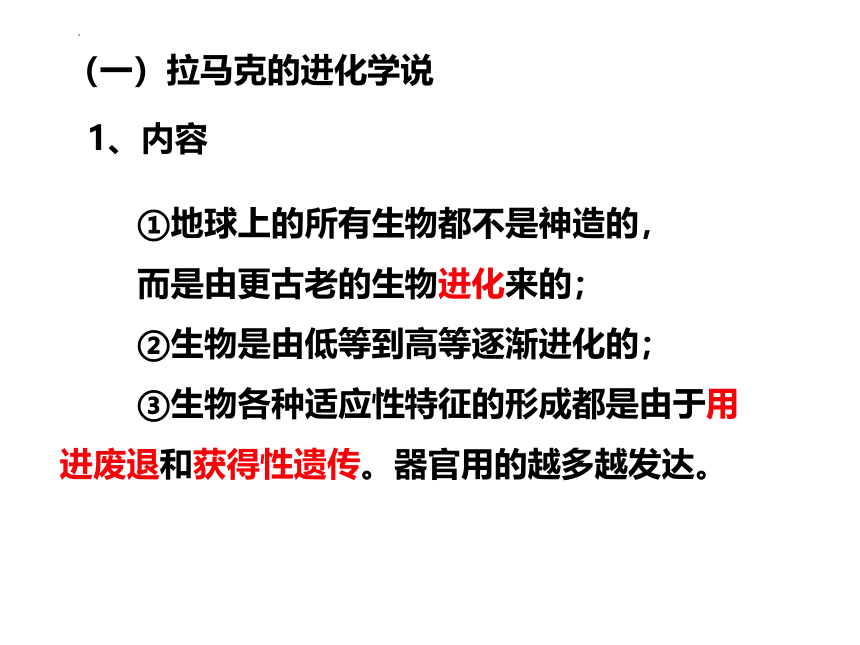 生物人教版（2019）必修2 6.2自然选择与适应的形成（共25张ppt）