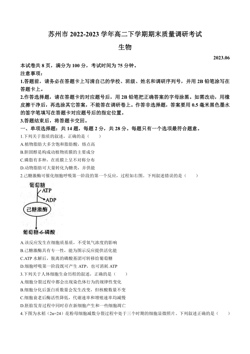 江苏省苏州市2022-2023学年高二下学期期末质量调研考试生物学试题（Word版无答案）