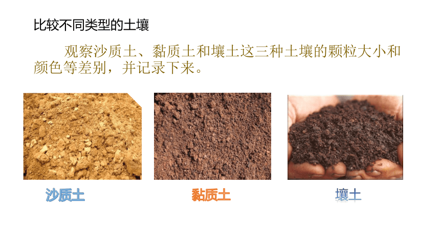 冀人版（2017秋）四年级下册1.2.沙质土、黏质土和壤土（课件11张ppt）