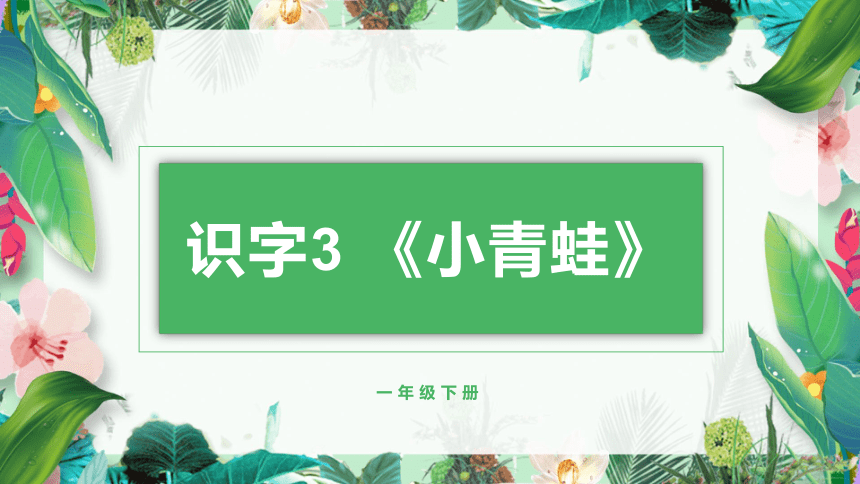 3 小青蛙 课件 第2课时(共16张PPT)