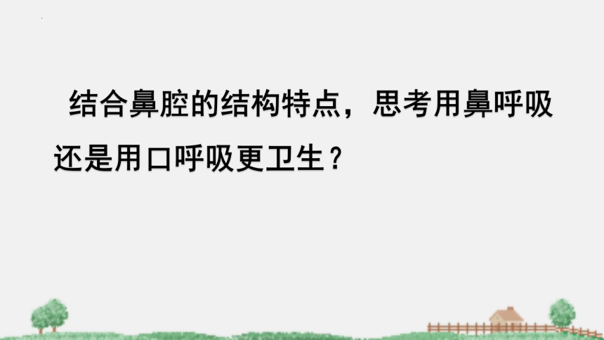 2021-2022学年苏教版生物七年级下册10.3人体和外界环境的气体交换课件(共31张PPT)