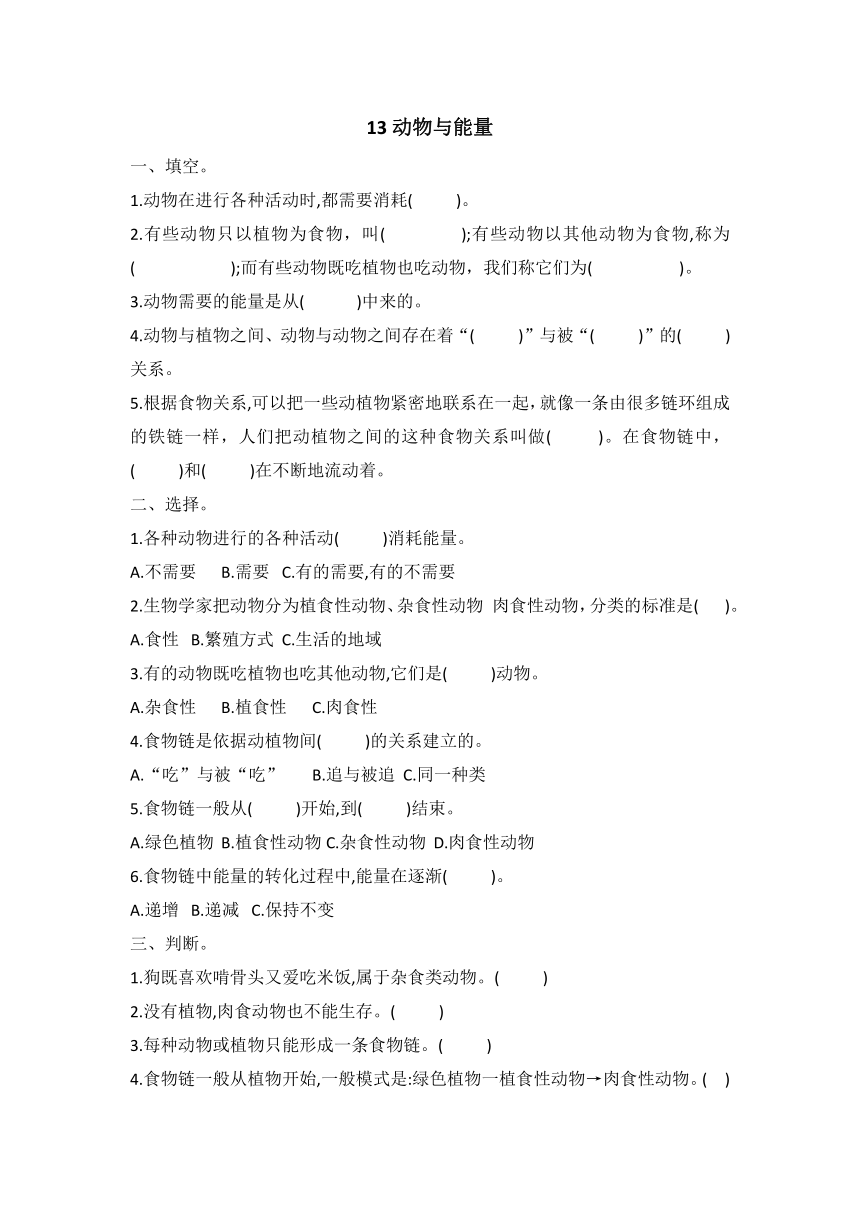 冀人版（2017秋）科学 六年级科学 4.13动物与能量 同步试题（含答案）