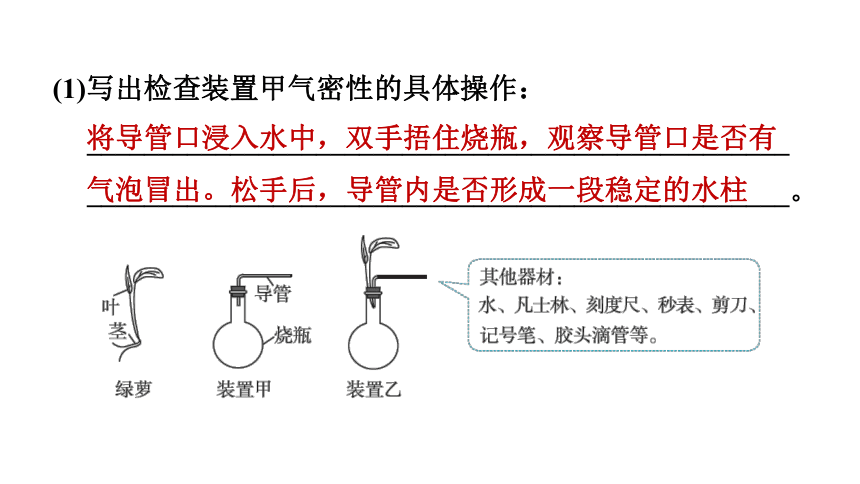 中考科学复习 实验方案的设计与评价（课件 38张PPT）