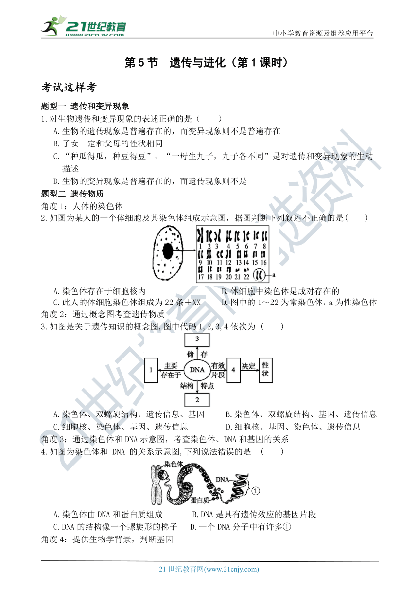 考试这样考--第5节 遗传与进化（第1课时） 同步练习（含答案）