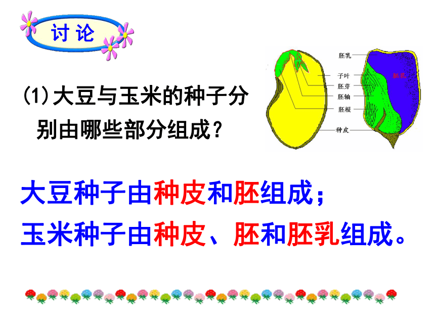 3. 6.1 种子萌发形成幼苗 课件(共22张PPT)北师大版七年级上册生物