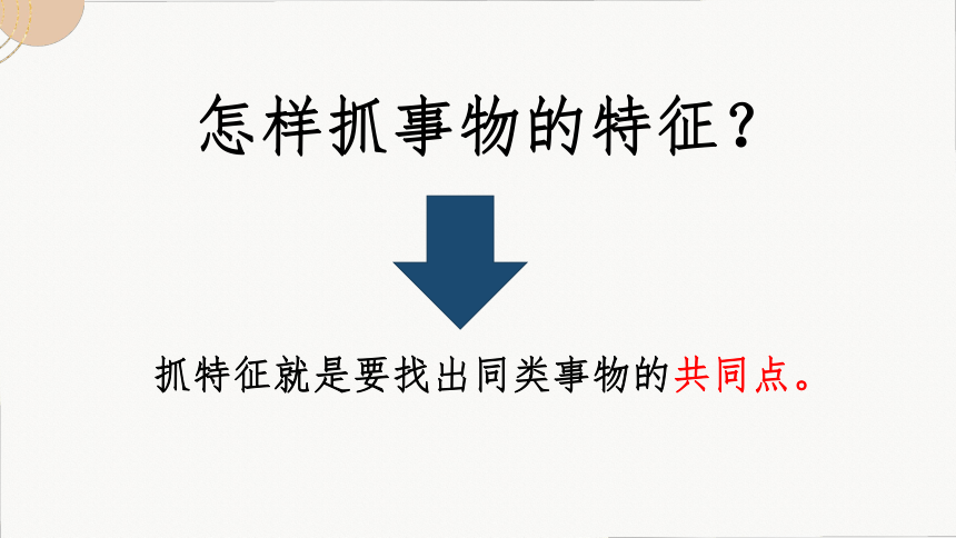 18中国石拱桥 教学课件（共35张PPT）