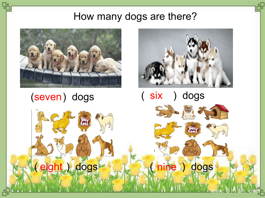 Unit 1 Lesson 2  How Old Are You 课件(共18张PPT)