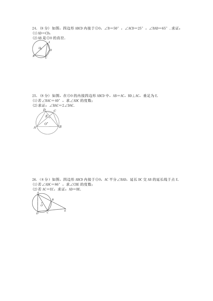 2.4 圆周角强化提优训练（二）(含答案)