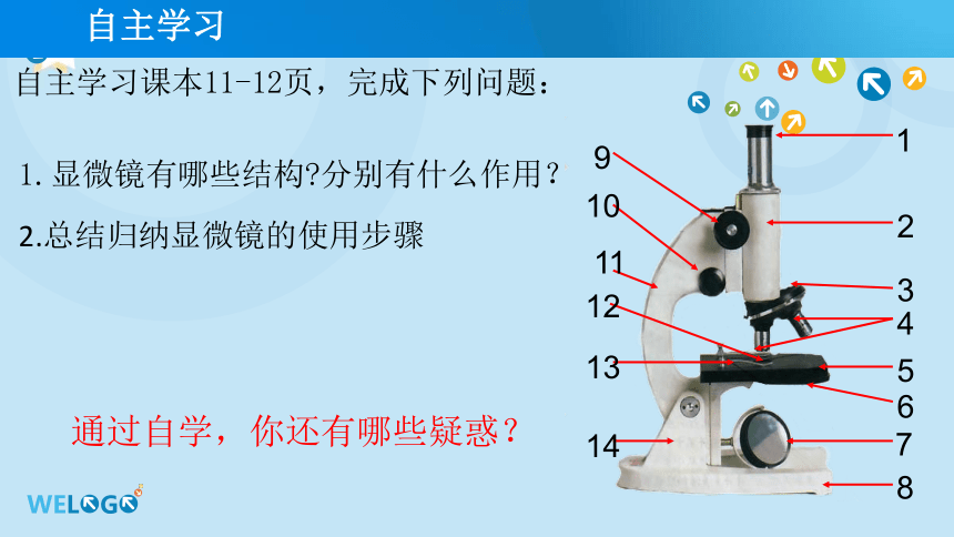 1.1.2 生物学的基本研究方法（第2课时）课件(共19张PPT无答案)2022-2023学年苏科版生物七年级上册