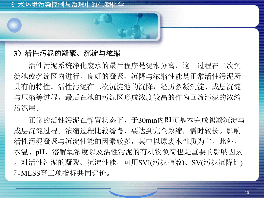 6.1污、废水生物控制与治理生物化学 课件(共38张PPT)- 《环境生物化学》同步教学（机工版·2020）