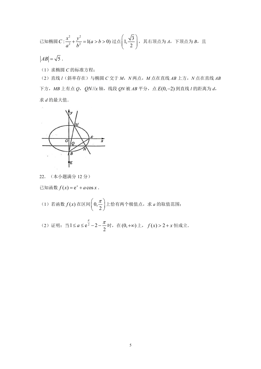 山西省大同市2023届高三下学期5月质量检测数学试题(含答案)