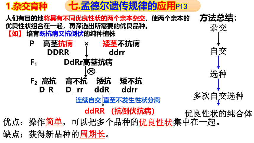 1.2孟德尔的豌豆杂交实验（二）第2课时课件（20张ppt）2022-2023学年高一下学期生物人教版（2019）必修2