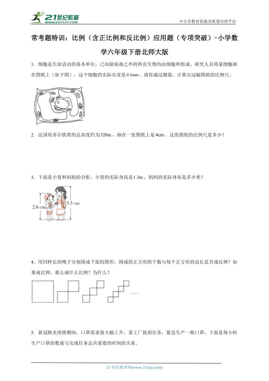 常考题特训：比例（含正比例和反比例）应用题（专项突破） 小学数学六年级下册北师大版（含答案）