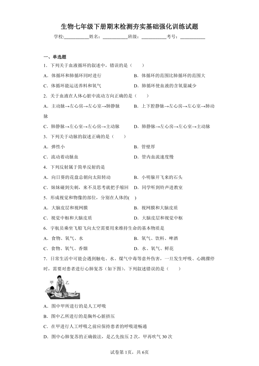 济南版生物七年级下册期末检测夯实基础强化训练试题5（含解析）