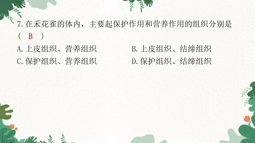 2023年广东省初中学业水平考试仿真试卷(一)课件(共42张PPT)