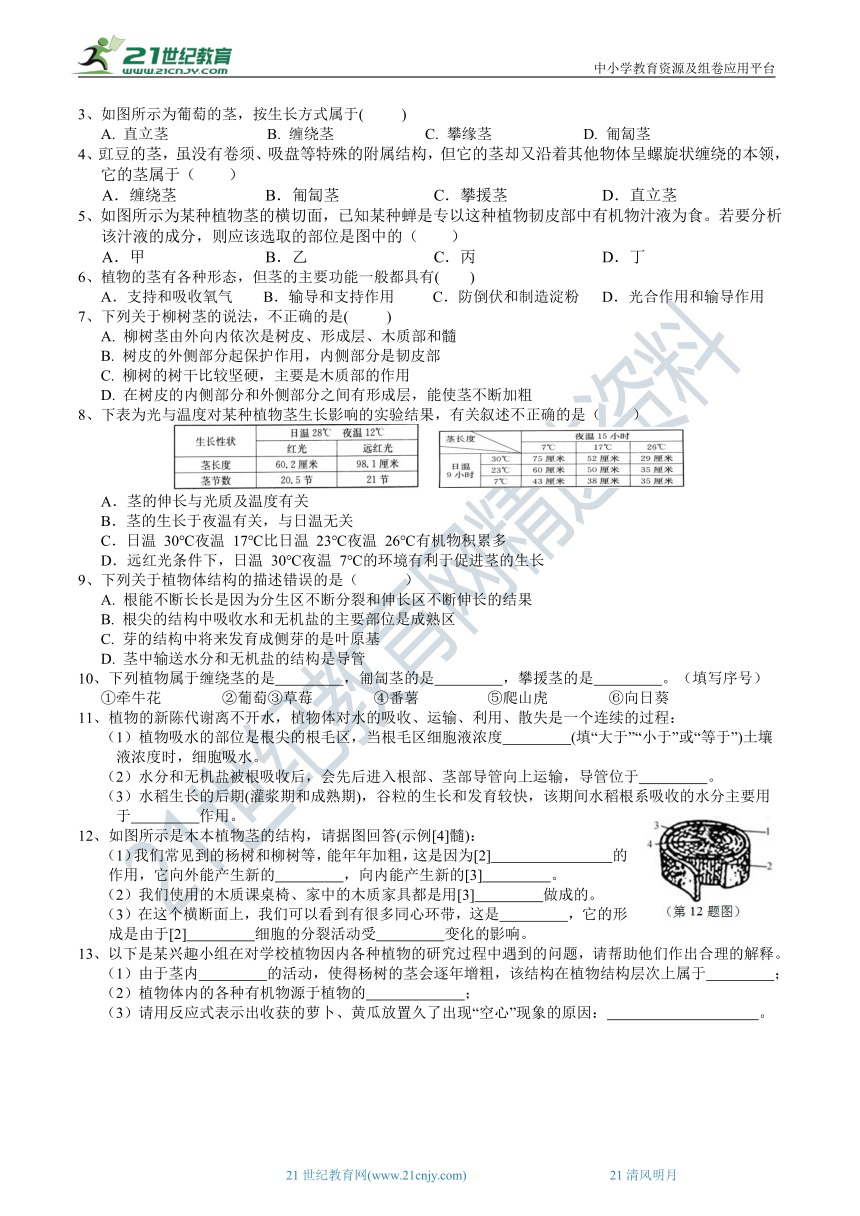 2022浙教版八下科学4.4植物的茎与物质运输（1）学案（含答案）