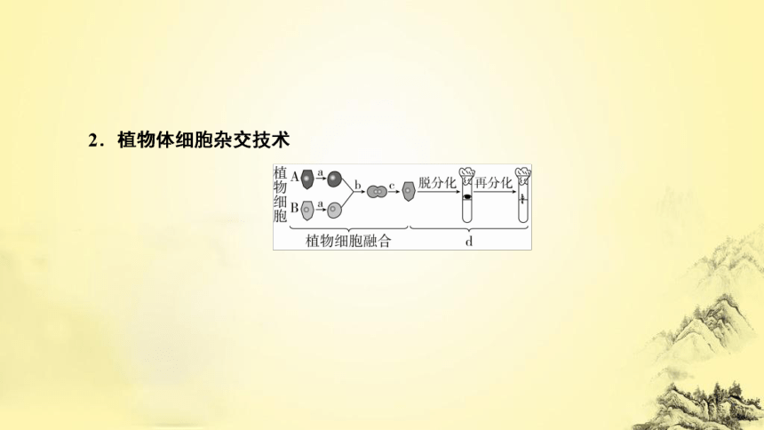 新人教生物二轮复习课件15 细胞工程(课件共62张PPT)