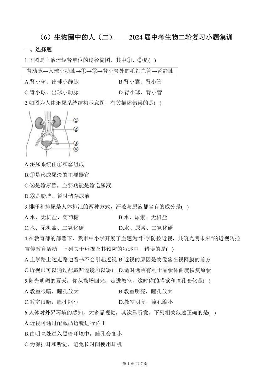 （6）生物圈中的人（二）——2024届中考生物二轮复习小题集训（含解析）