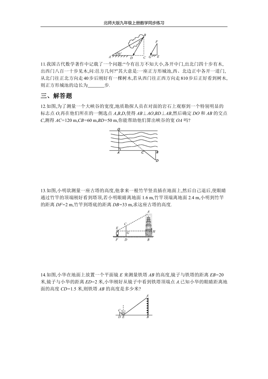 北师大版九年级上册数学同步练习4.6 利用相似三角形测高(Word版 含答案 )